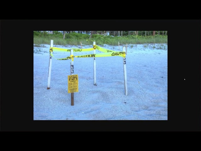 Broward County Beach Inspections, Part 2