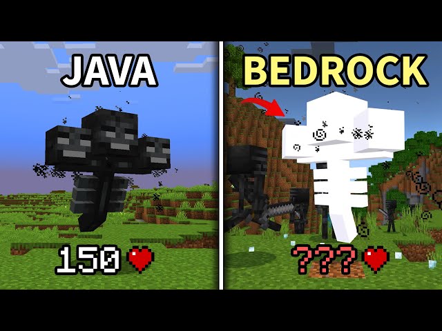 80 Minecraft JAVA VS BEDROCK Things