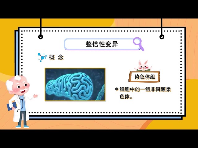 4.3 Chromosomal Numerical Variation
