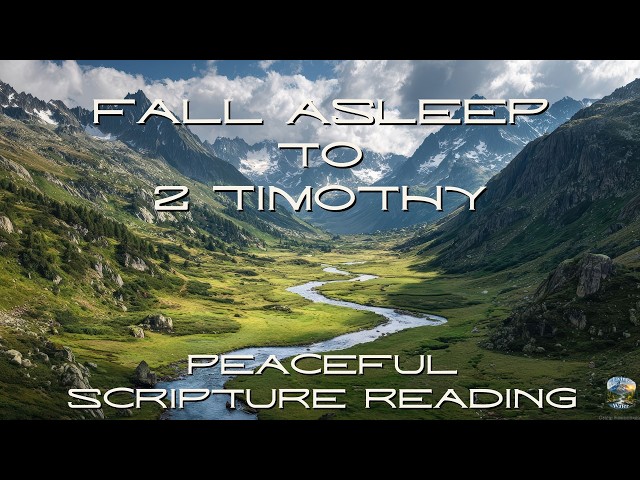 Fall Asleep to the Book of 2 Timothy | Peaceful Scripture Reading (Audio & Text)