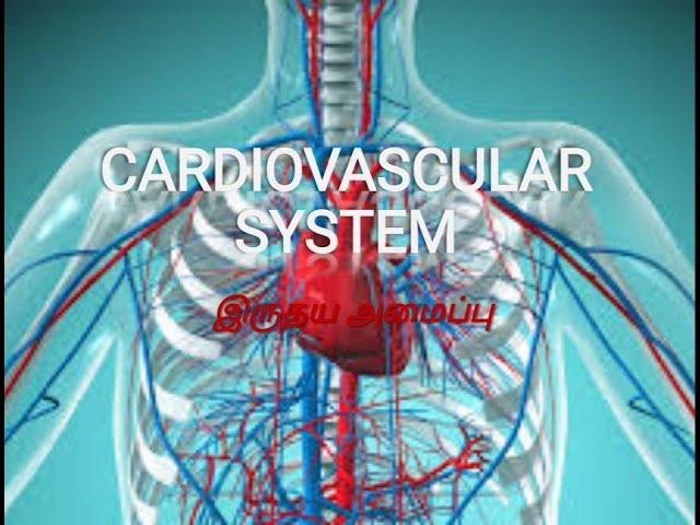 Cardiovascular system in tamil||explanation of cardiovascular system in tamil||Heart working tamil