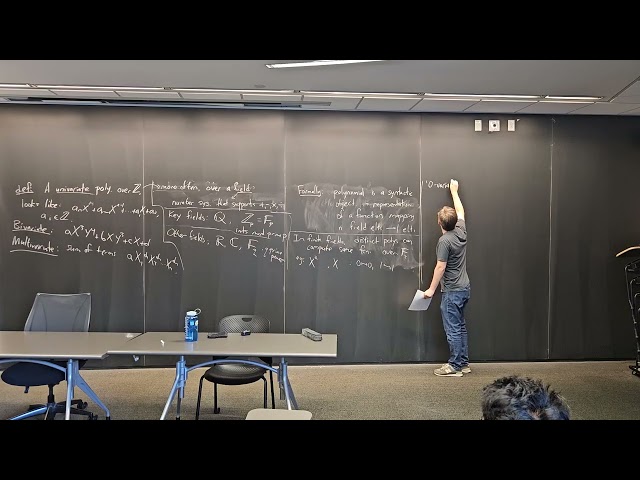 5. Polynomials in Complexity Theory