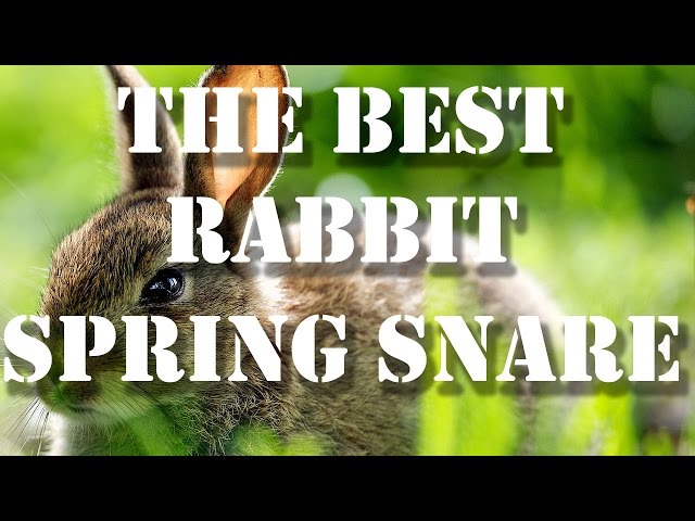 How To Make a Spring Snare