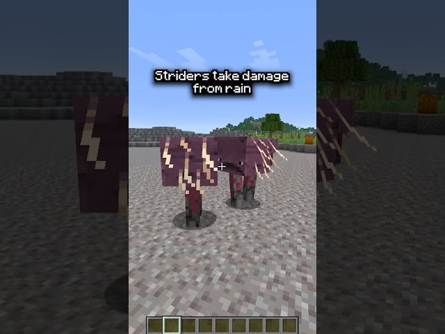 YOUR Minecraft Myths TESTED 🤯 #minecraft #shorts