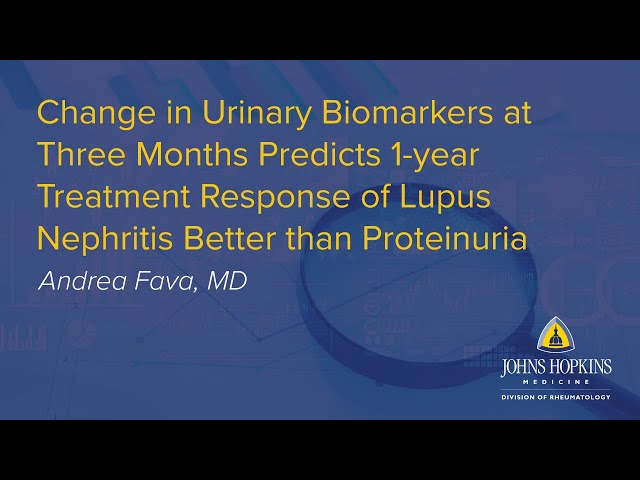 Urinary Biomarkers Predicts Treatment in Lupus Nephritis | Johns Hopkins Rheumatology