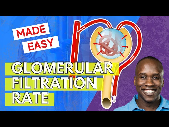 Glomerular Filtration Rate - But Easier to Understand