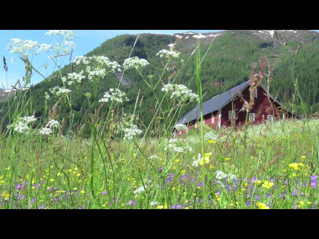 10 Minute Guided Imagery Meditation | City of Hope