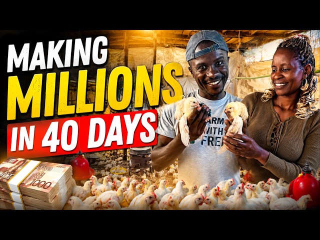 I started with 50 Kienyeji now doing  2000 Broilers. I Invest KSh 1M & Double the Money in 40 days.