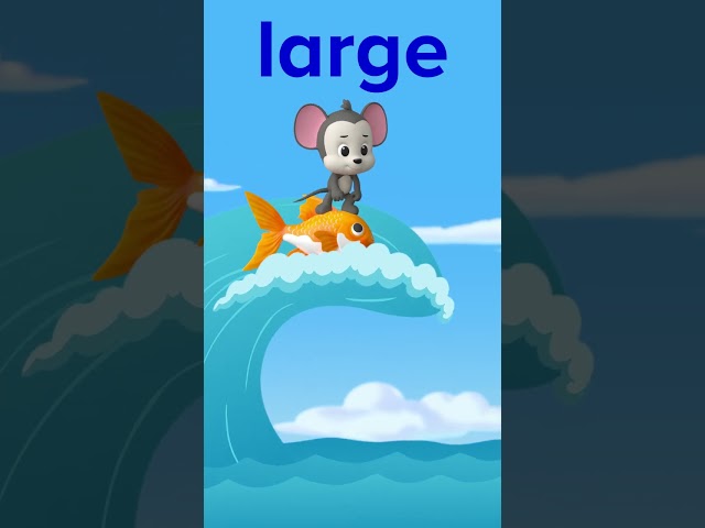 Kindergarten Sight Word: Large | ABCmouse #learning #education #sightwordsforkids #kindergarten