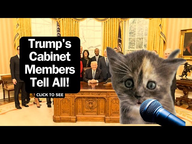 What Former Members of Trump's Cabinet Say #comedy #cat #independent #trump #biden #politics