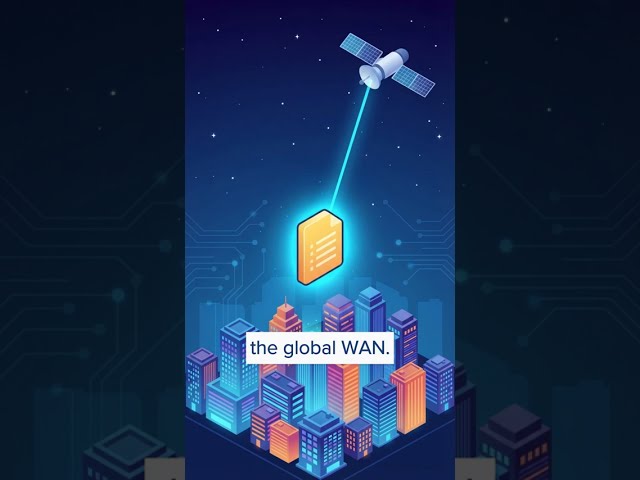 LAN vs. MAN vs. WAN: Network Types Explained #computernetwork