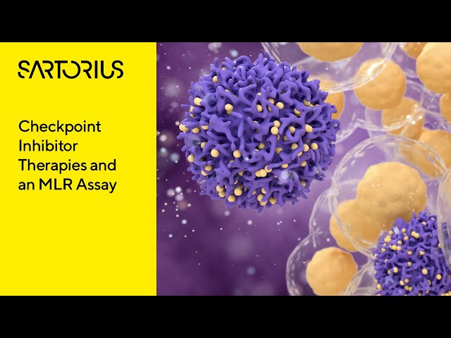 iQue® Webinar Preview:  Evaluation of Checkpoint Inhibitor Therapies using an MLR Assay