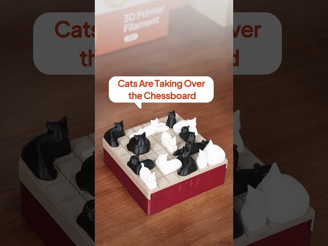 Finally, a chess game where every piece has nine lives 🐱♟️Happy International Cat Day! 🐾