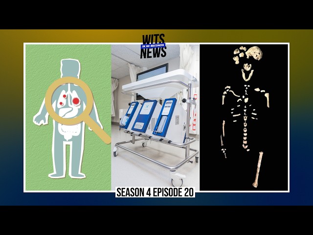 Wits in 60 Seconds | Season 4 | Episode 20: Your weekly Wits News digest
