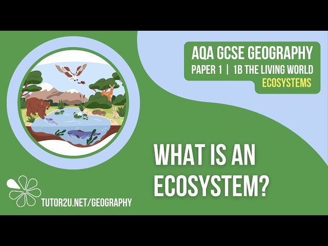 What is an Ecosystem? | AQA GCSE Geography | Ecosystems 1