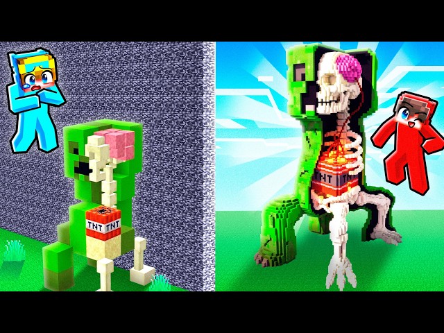 10 Seconds vs 1 Hour X-RAY Build Competition!