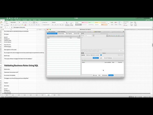 Working with the Data Engineer: Understanding Data Mapping and SQL Validation-Lesson 8
