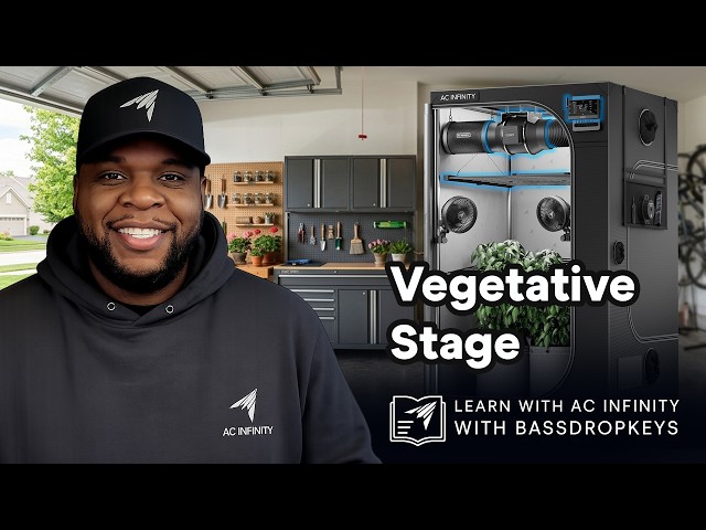 Vegetative Stage | Cannabis Growing with Bassdropkeys | Ep. 3