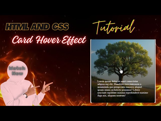 css card hover effect 🔥 #css #hovereffects #coding #htmlcss