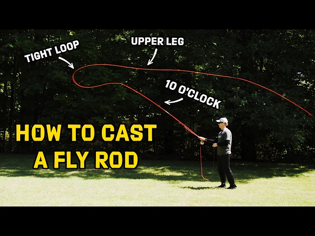 How to Cast A Fly Rod: THE Complete Guide