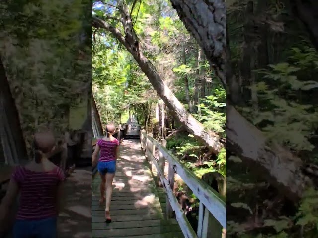 Upper Tahquamenon Falls uncut