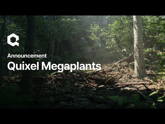 Introducing Quixel Megaplants