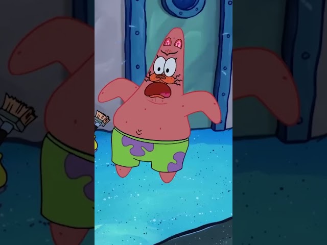Kenny the Cat ๐บ #SpongeBob
