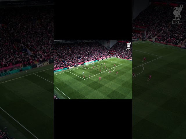Macca's winner from above 🏟️