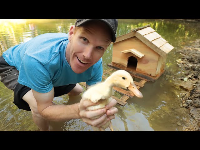 Building a Duck House for Pet Ducks (at the off grid cabin)