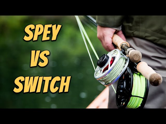Spey Rod vs Switch Rods Explained (What's The Difference?)
