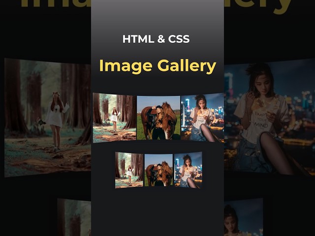 Image Slider | HTML CSS