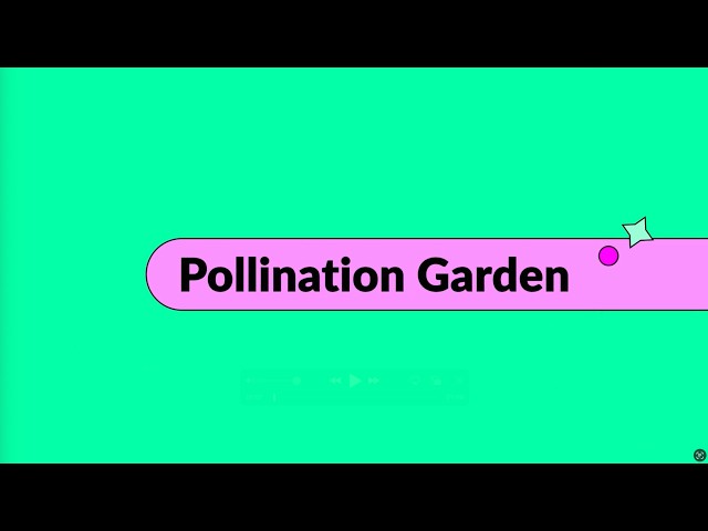 Pollination Garden
