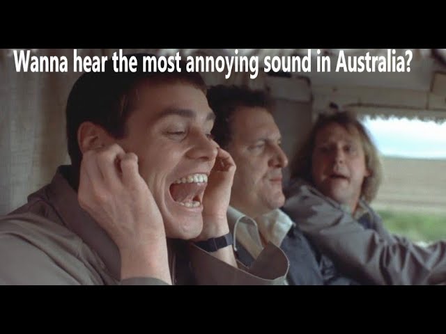 Wanna hear the annoying sound in Australia?