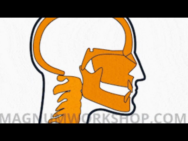 Mewing my ass off