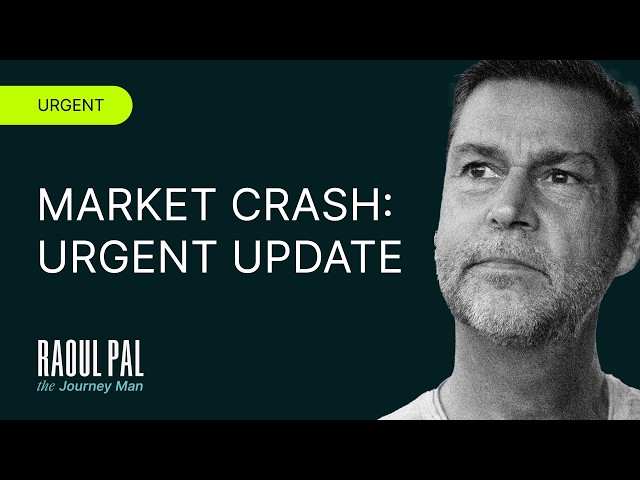 🚨 URGENT: Market CRASH Flash UPDATE w/ Raoul Pal