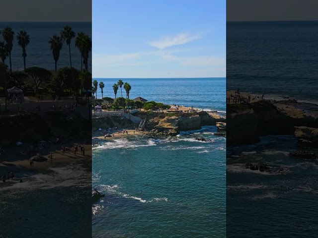 California, La Jolla Cove #shorts