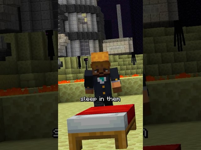 Minecraft Logic Makes No Sense