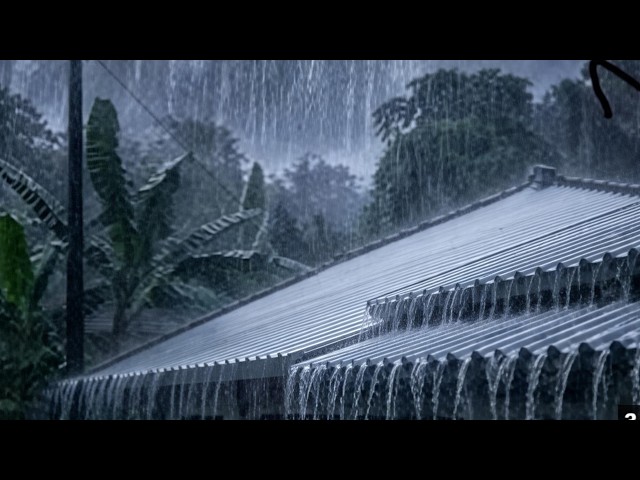 Heavy Rain on the Roof | Thunderstorm for Sound Sleep