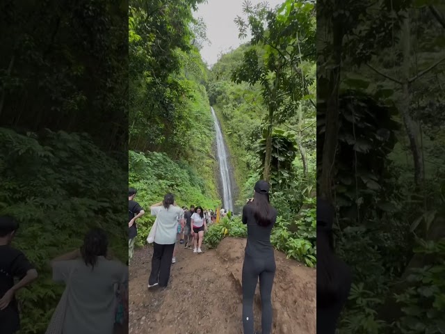 lowkey felt like i was in Avatar #travel #oahu #vacation #hawaii #hike #waterfall