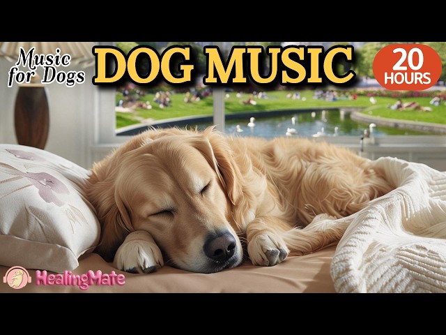 20 HOURS of Dog Calming Music🐶🎵Separation Anxiety Relief for Dogs🐶💖Peaceful Sleep Music for Dogs