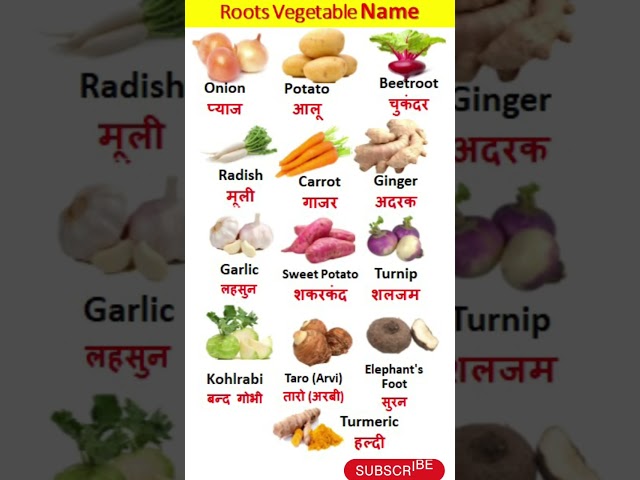 Roots Vegetable Name in English and Hindi//Vegetables Vocabulary जड़ों की सब्जियों के नाम//