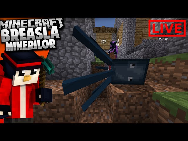 Breasla Minerilor | Minecraft SMP | Livestream #1