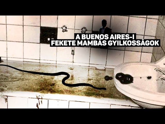 A Buenos Aires-i fekete mambás gyilkosságok