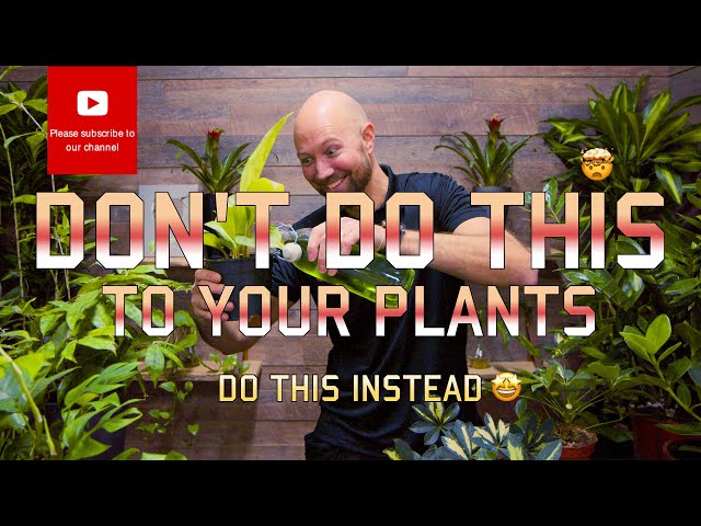 Don’t do this with your plants!!