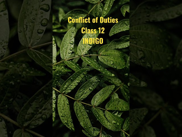 Conflict of Duties class 12 Indigo