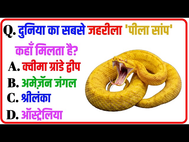 दुनिया की 20 सबसे अनोखी 'पीली' चीजें 💛 | Amazing Yellow Fruits & Animals | GK Quiz in Hindi