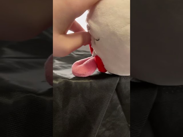 @Birdiegamer522
