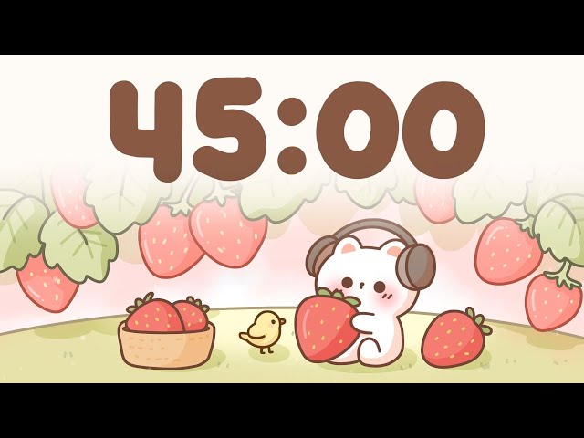 45 Minute Timer 🐱 Study Timer for Classroom Focus