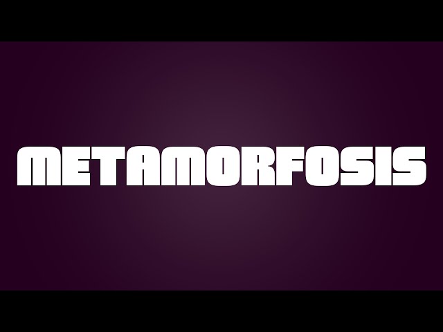 Metamorfosis - Dinac (Video Lyrics)
