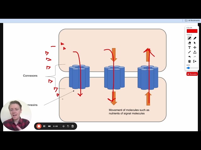 MCAT Question of the Day: Induction and Cell Differentiation